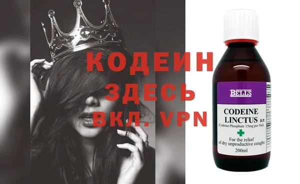 крисы Ростов