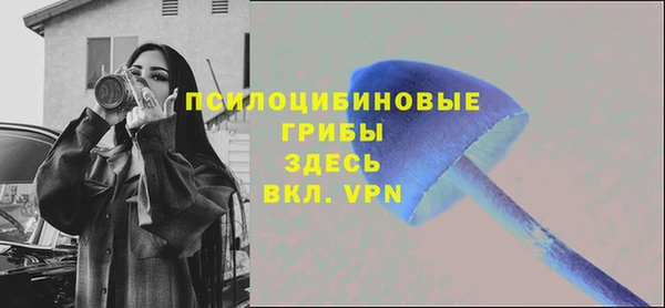 стафф Рославль