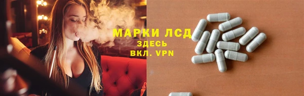 крисы Ростов