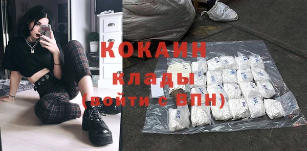 крисы Ростов