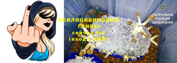 стафф Рославль