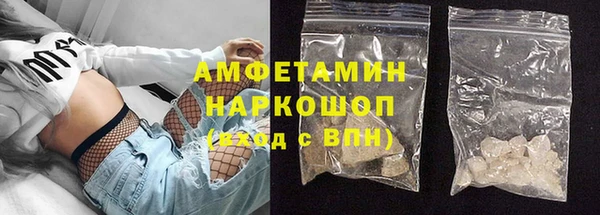крисы Ростов