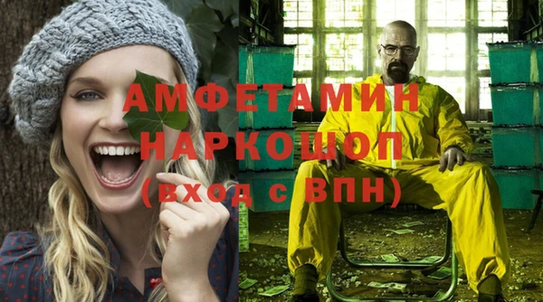 крисы Ростов