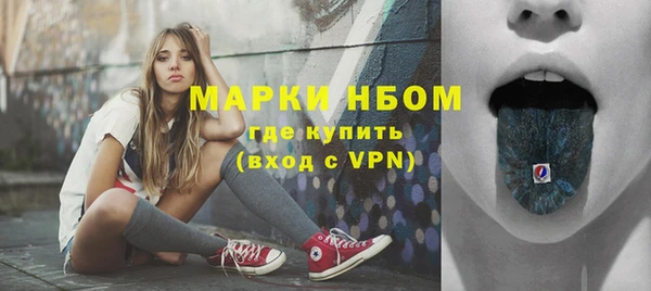 крисы Ростов